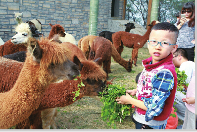 ���Ͽ�̽������Ϊ�����ۻ���